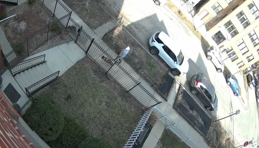 Reolink Camera Two_01_Reolink Home Hub One_20260320163157.jpg